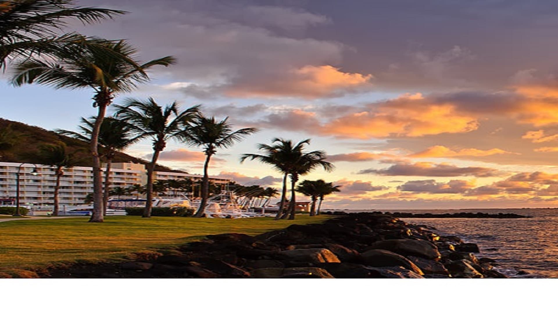 TOTUM Beauty offers, vouchers and discounts